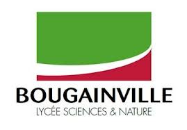 logo bougainville 1