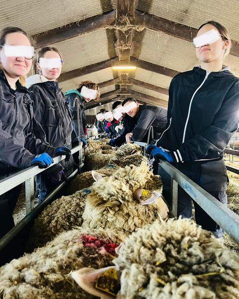 TRAVAUX PRATIQUE EN ZOOTECHNIE Lycée et CFA agricole La Bretonnière
